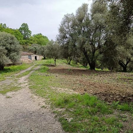 B&B Le Casette Sant'Onofrio  Bagian luar foto