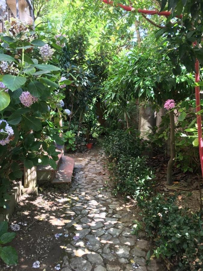 B&B Le Casette Sant'Onofrio  Bagian luar foto