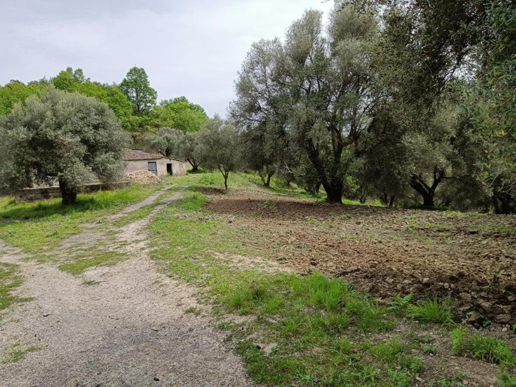 B&B Le Casette Sant'Onofrio  Bagian luar foto